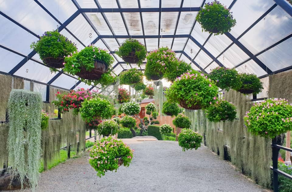 How to Manage a Home Garden